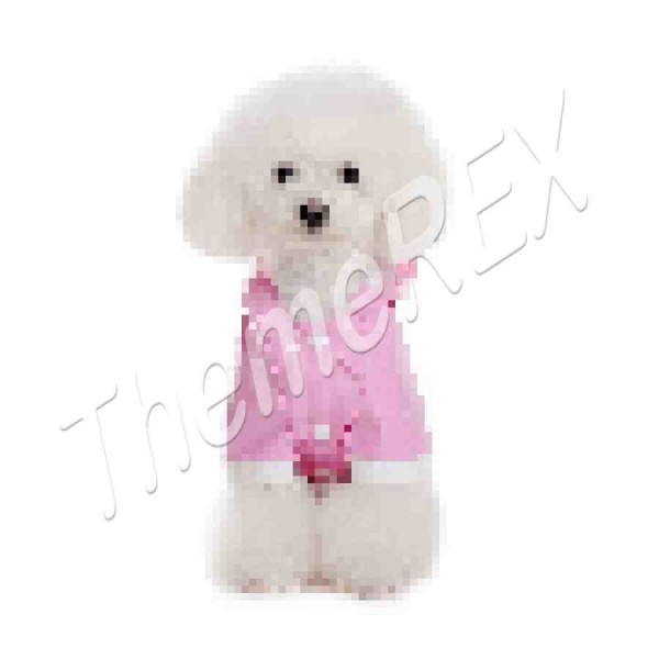 Dog raincoat-4